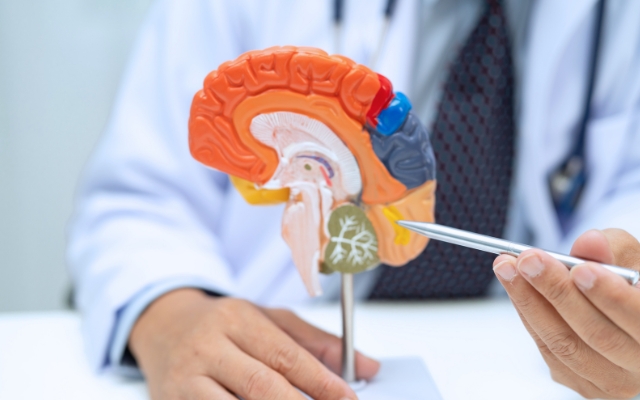 Top Neurologists in Sans Pareil, FL