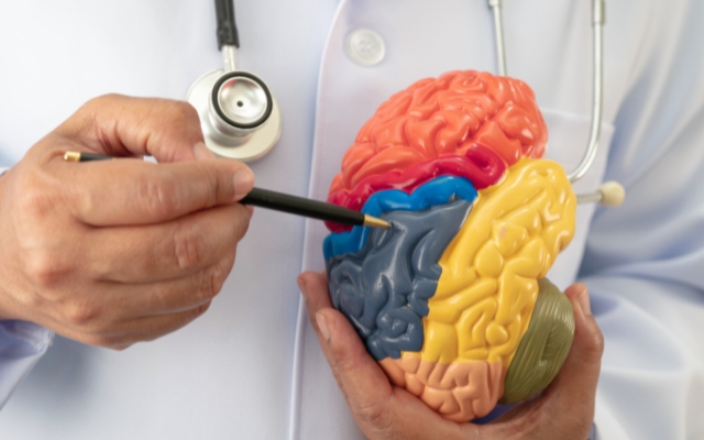 Top Neurologists in Sunbeam, FL