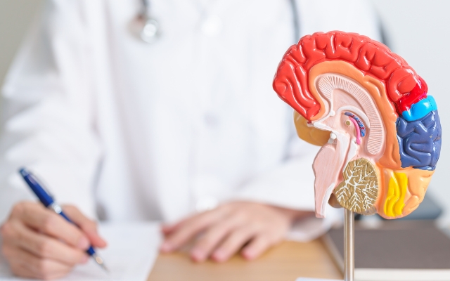 Top Neurologists in Urban Core, FL